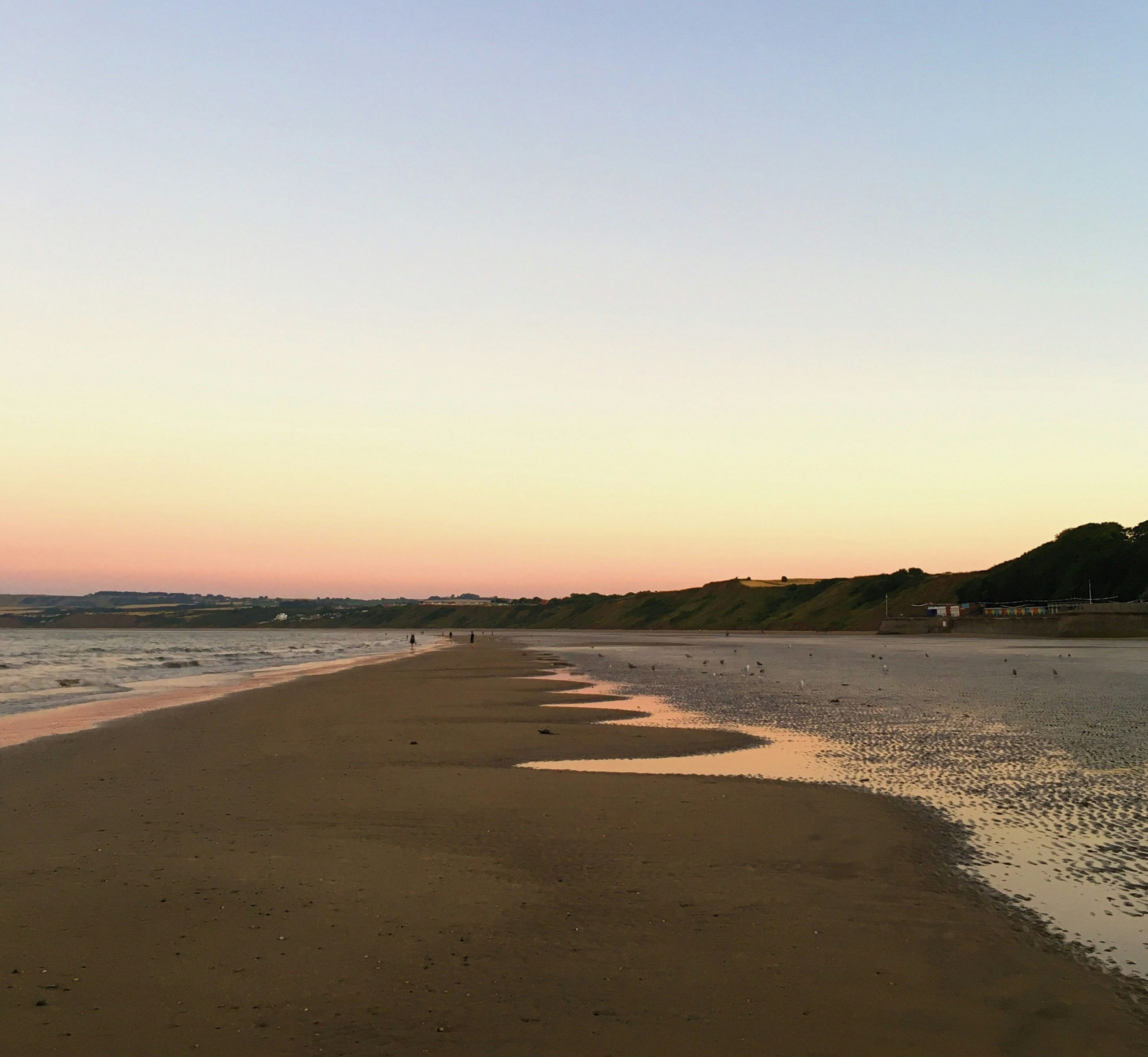 filey-beach-dog-walk-1